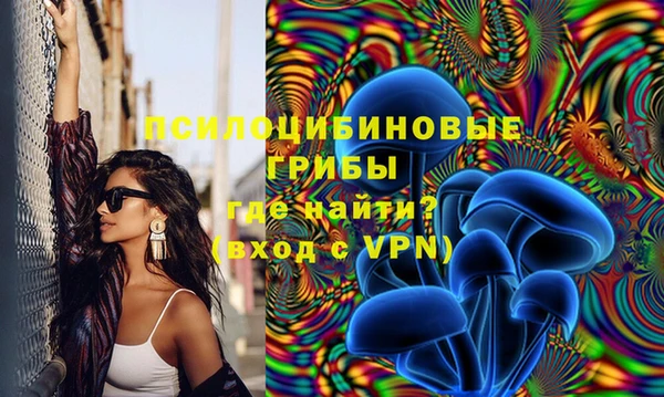соль ск Вяземский