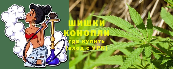 соль ск Вяземский